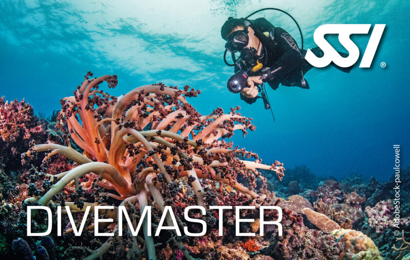 Archipel Plongée Argeles_Divemaster