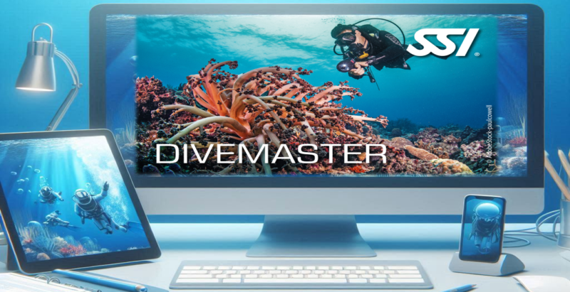 Archipel Plongee Argeles_Divemaster_SSI