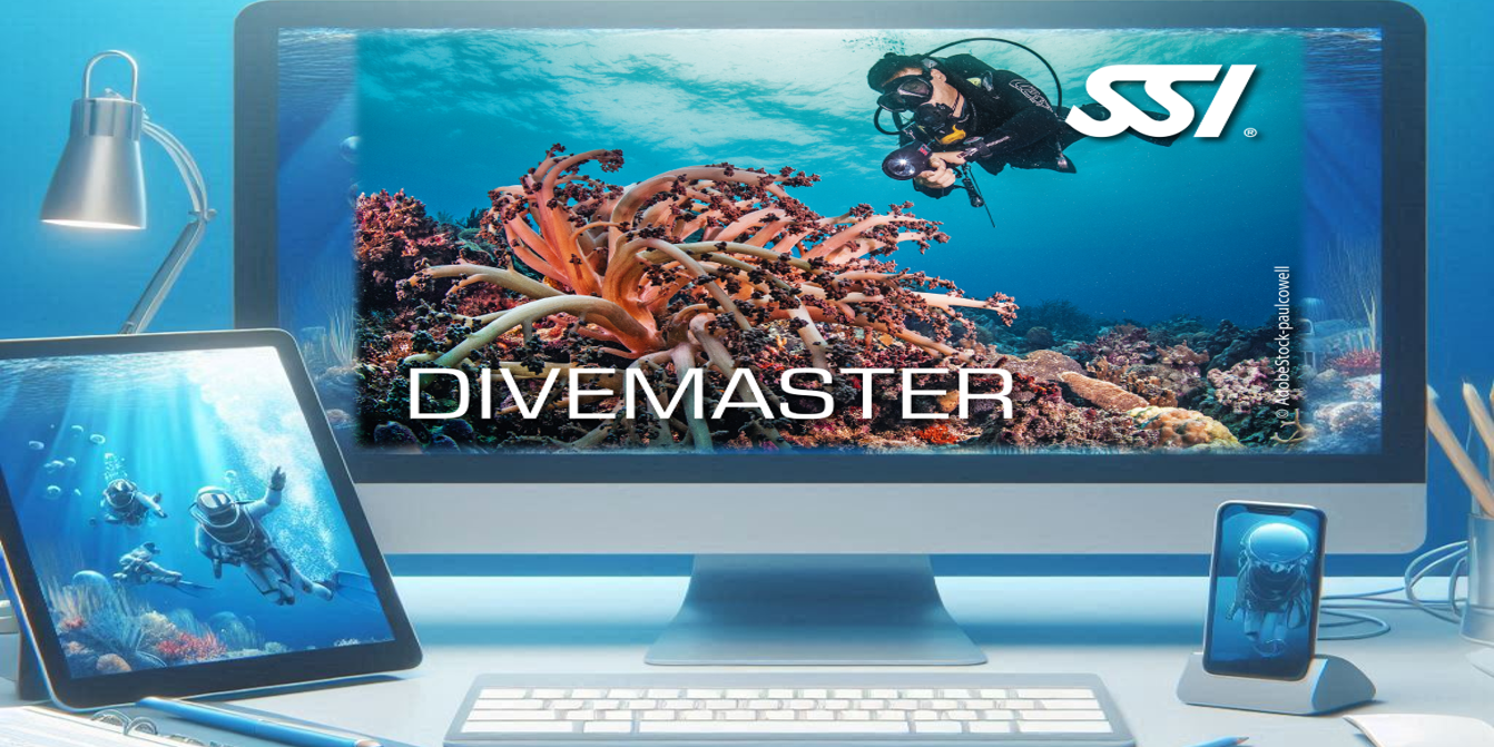 Archipel Plongee Argeles_Divemaster_SSI Archipel Plongee Argeles_Divemaster_SSI